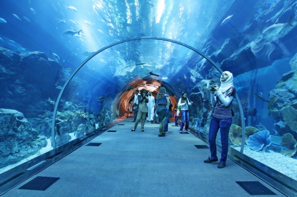 Dubai Mall Aquarium | Mark Corporation