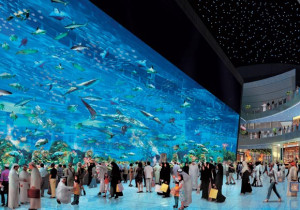 Dubai Mall Visitors